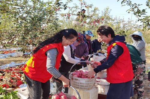 微信图片_20201020111315_副本.jpg