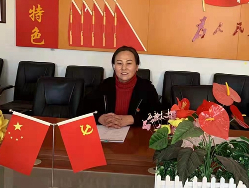 定边  高彩云.jpg